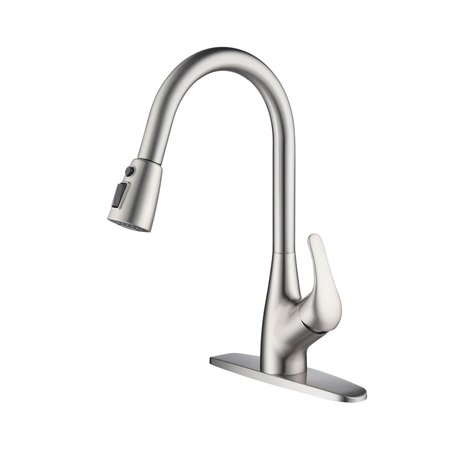 KIBI Single Handle Pull Down Kitchen Faucet F101BN